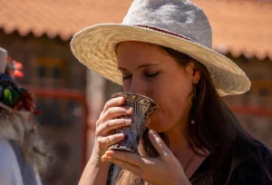 San Pedro / Wachuma Medicine – 1 Day Retreat